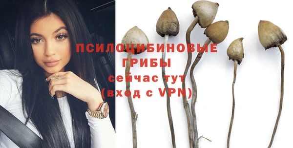 дмт Дмитров