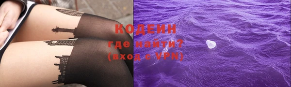 дмт Дмитров