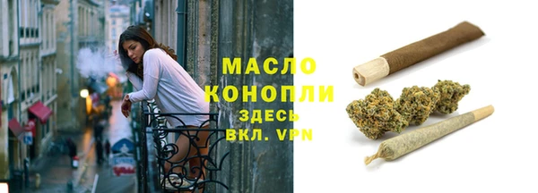 соль ск Дмитриев