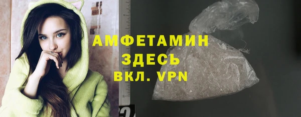 соль ск Дмитриев