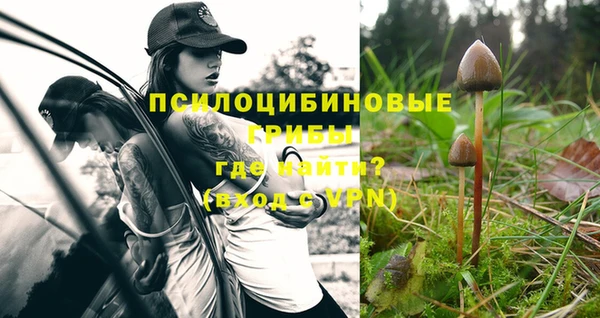 дмт Дмитров