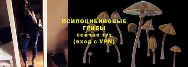 дмт Дмитров