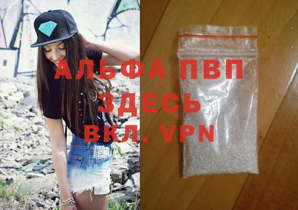 дмт Дмитров
