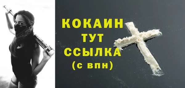 дмт Дмитров