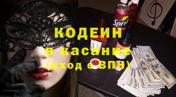 соль ск Дмитриев