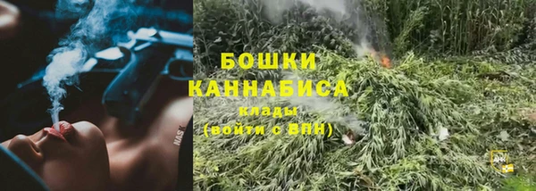 соль ск Дмитриев