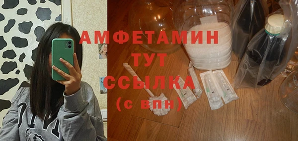 дмт Дмитров