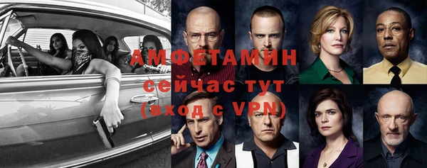 дмт Дмитров