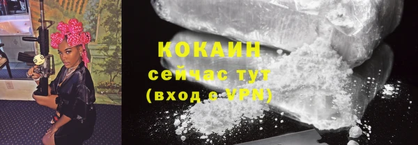 дмт Дмитров
