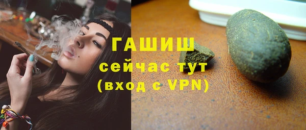 дмт Дмитров