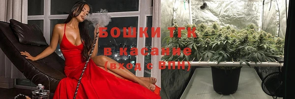 дмт Дмитров