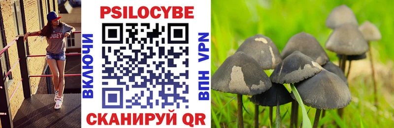 Галлюциногенные грибы MAGIC MUSHROOMS  Батайск 
